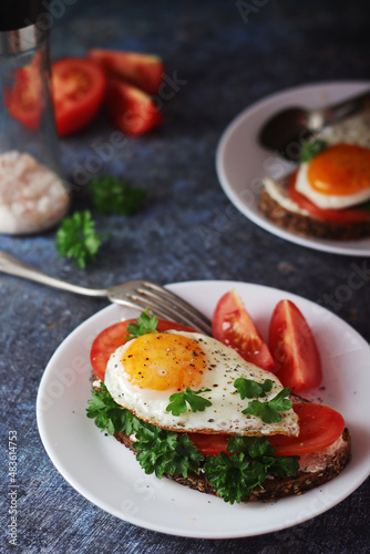 Sandwiches with fried eggs and tomatoes	