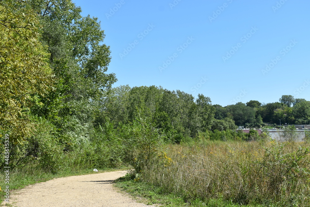 Trout Brook Nature Sanctuary a Summer Experience Trout Brook Nature Sanctuary a Summer Experience