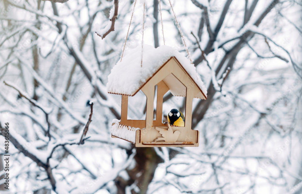 a bird sits on a handmade feeder with crumbs and nuts, winter scene a bird sits on a handmade feeder with crumbs and nuts, winter scene