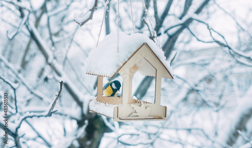 Handmade bird feeder. Selective focus.