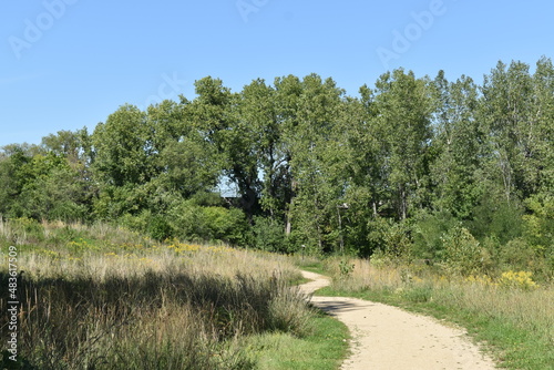 Trout Brook Sanctuary a Summer Experience