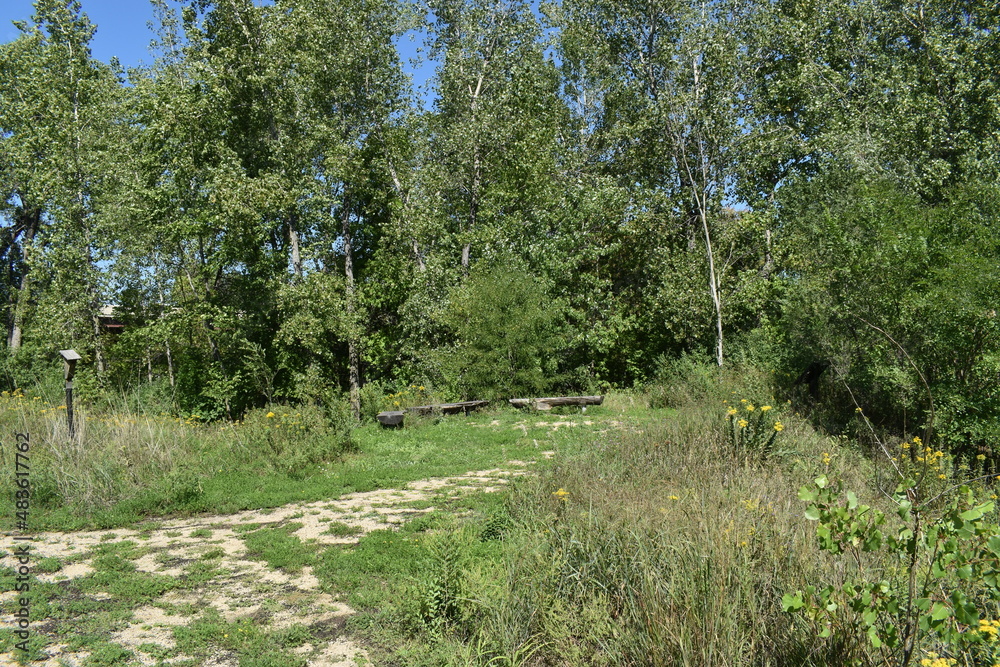 Trout Brook Sanctuary a Summer Experience Trout Brook Sanctuary a Summer Experience