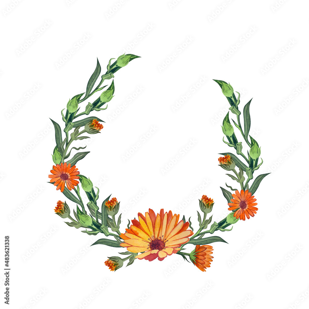 A wreath of calendula flowers hand-painted in watercolor. Suitable for the design of postcards, invitations, labels of cosmetics and medicines. A wreath of calendula flowers hand-painted in watercolor. Suitable for the design of postcards, invitations, labels of cosmetics and medicines.
