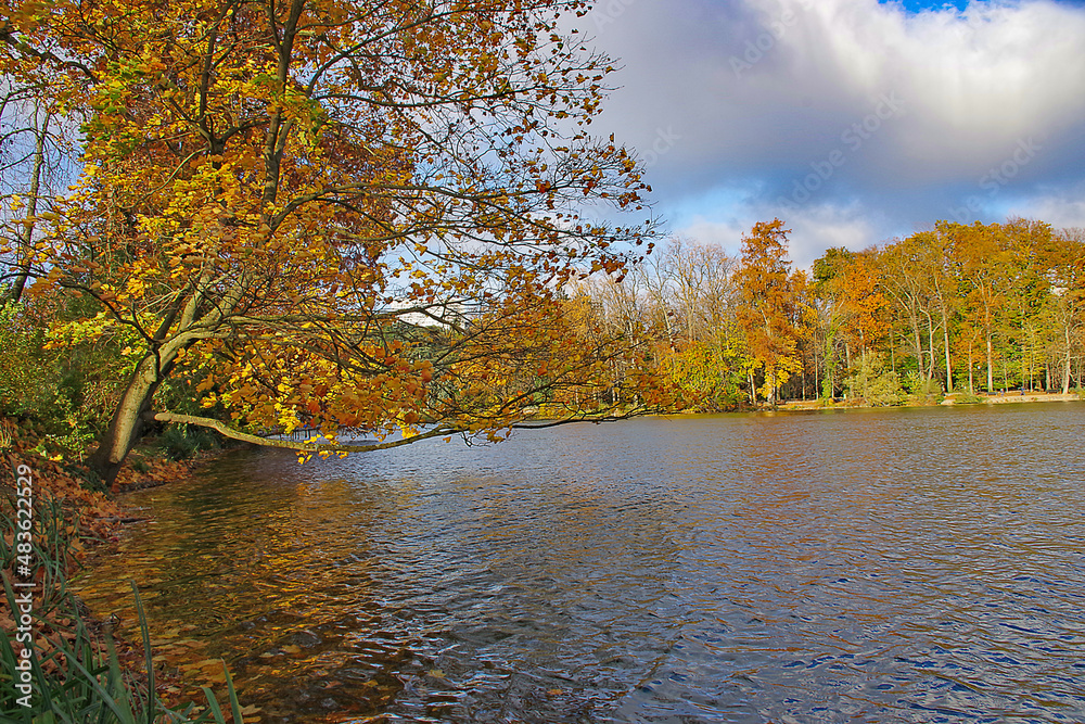 Fototapeta premium Couleurs d'automne au parc de la Tête d'Or à Lyon