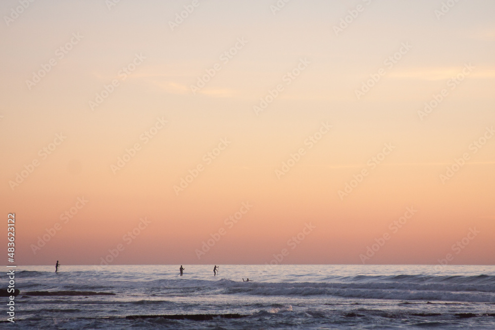 paddle boarders on the ocean at sunset
