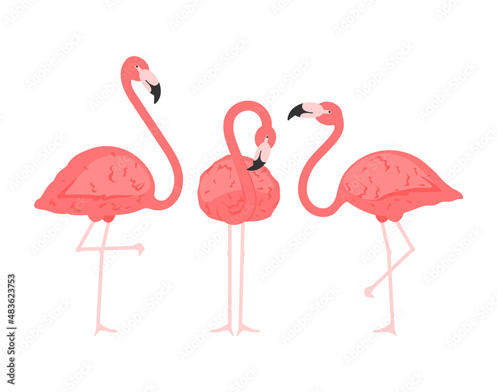 Obraz premium Exotic pink flamingos birds. Flamingo with pink rose feathers stand on one leg in wild african fauna. Zoo feather rosy plumage cute flam bird cartoon vector isolated set illustration