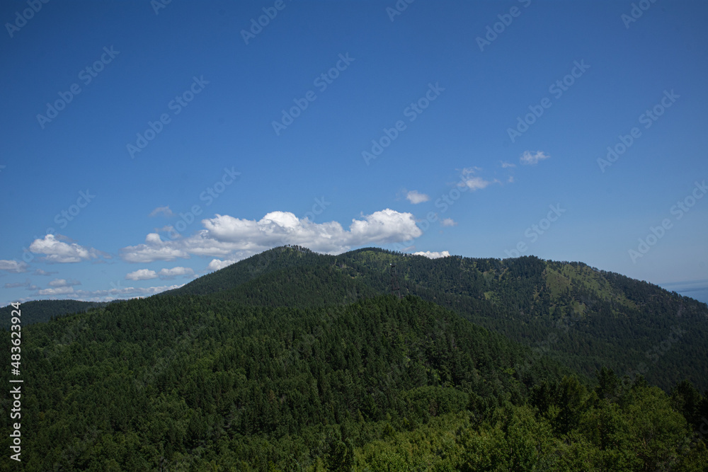 mountains, forest