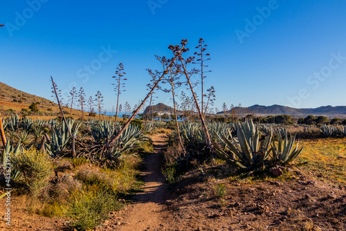 Playa  Cabo de Gata