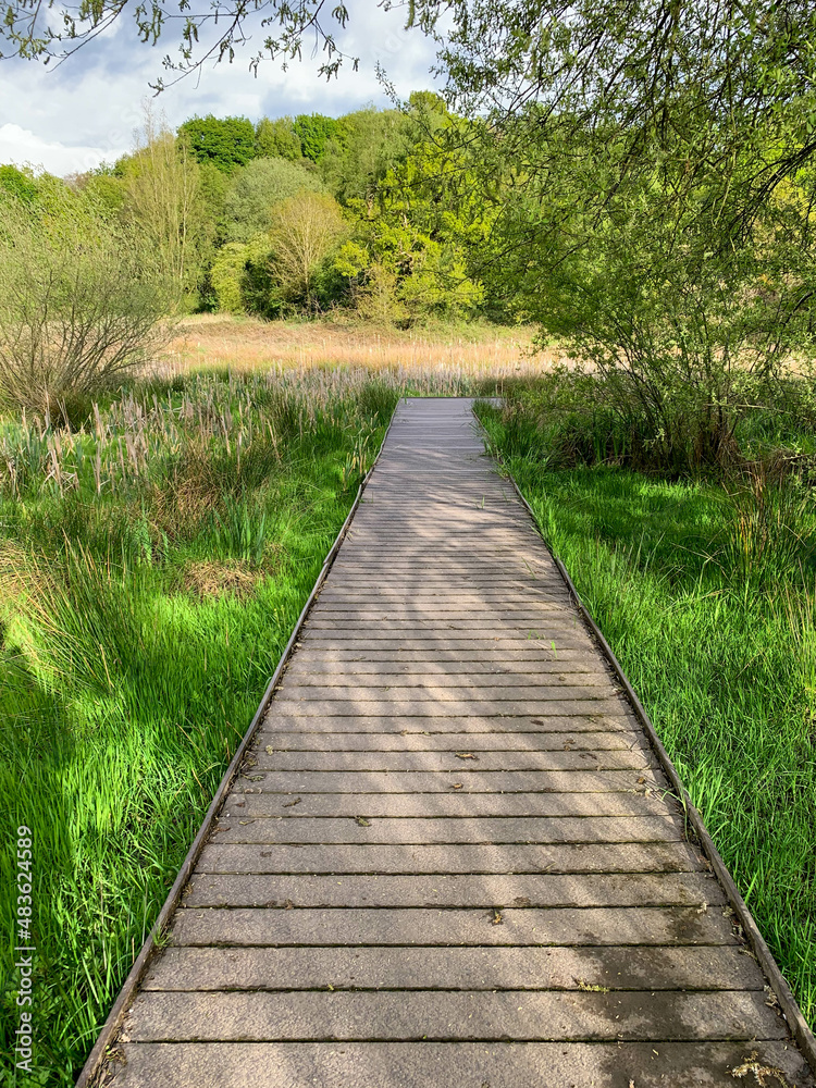 Obraz premium Boardwalk