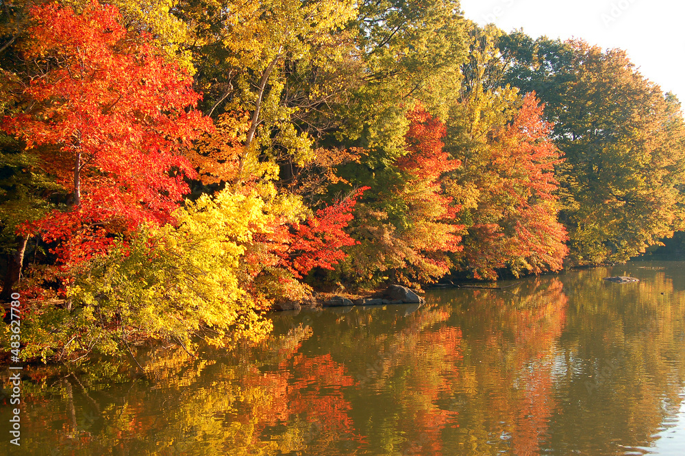 Autumn refelctions on the lake