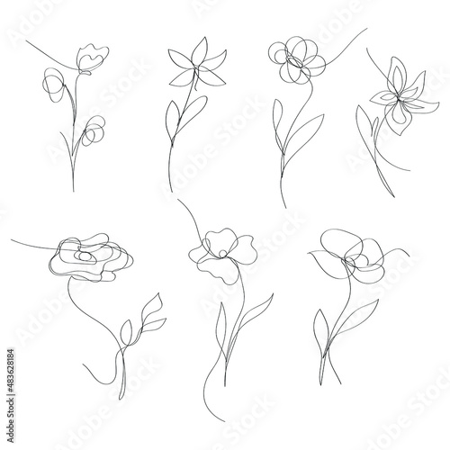 hand drawn flowers, vector outline set, single line art
