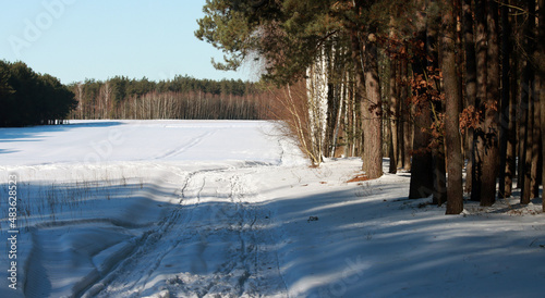 Bory tucholskie zimą, śnieżna polana © Pawe