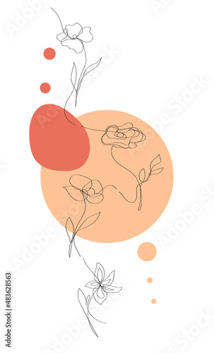 vector outline flowers poster, single line art, floral sketch