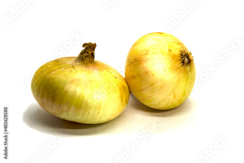 Two onions on a white background