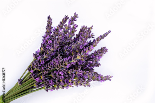 Fototapeta Naklejka Na Ścianę i Meble -  bunch of lavender