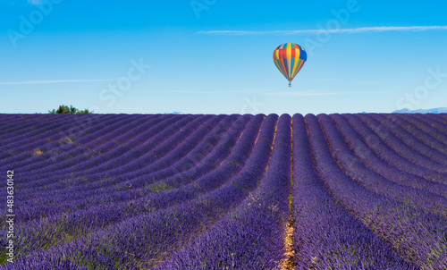 balloon flying over the lavender fields of Valensole in France.
