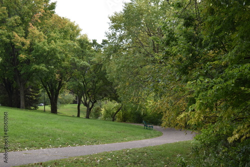 Summertime at Marydale photo