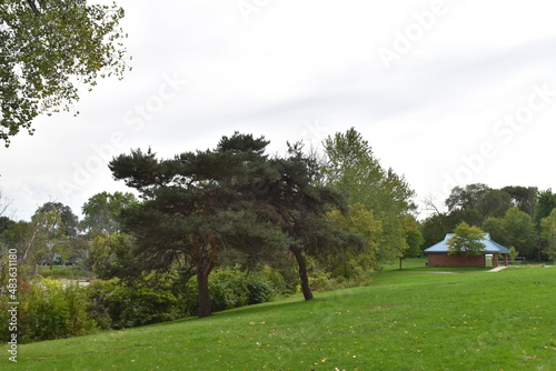 Summertime at Marydale photo