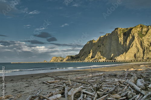 Beach with driftwood, high cliffs and the 600 m long pier of Tolaga Bay, East Cape, North Island, New Zealand, at sunset, the cliffs and the pier light up in the evening sun.
 photo