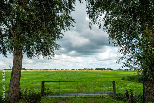 Dutch landscape with fence