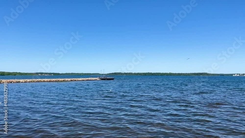 View on the lake Valdai. ducks, drakes and pigeon sunbathing on green grass and swimming
