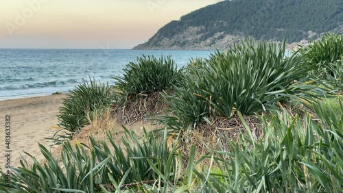 Tresino Beach, Castellabate, Campania, Salerno photo