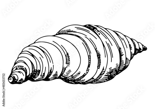 Croissant. Single sketch of sweet food, dessert. Hand drawn vector illustration in retro style. Outline clipart isolated on white background.
