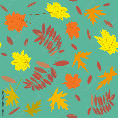 pattern golden autumn leaves of maple and rowan