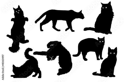 Sticker set of black cats collection of detailed hairy cats silhouettes
