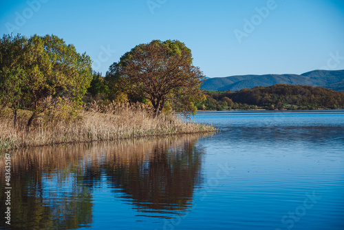 Blue lake Pchelina, Bulgaria with blue clear sky. Trees and fern on the shore of the lake. Stunning landscape of nature. photo
