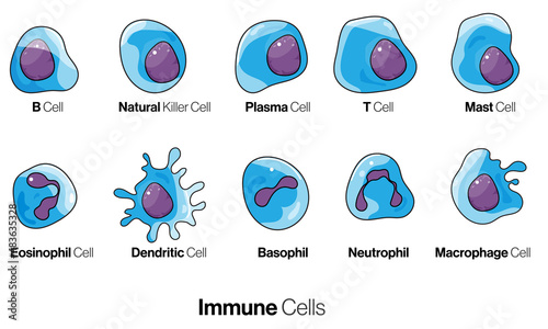 isolated immune cell collection in white background. 