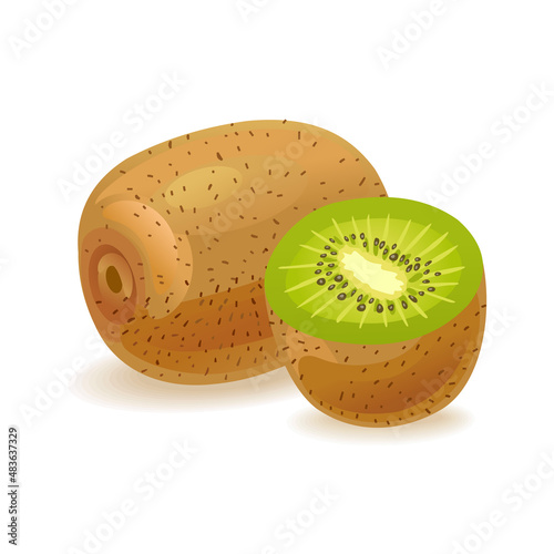 Realistic kiwi fruit. Half and slice. Fresh organic food for a healthy diet. Tropical berry for dessert. Vector illustration