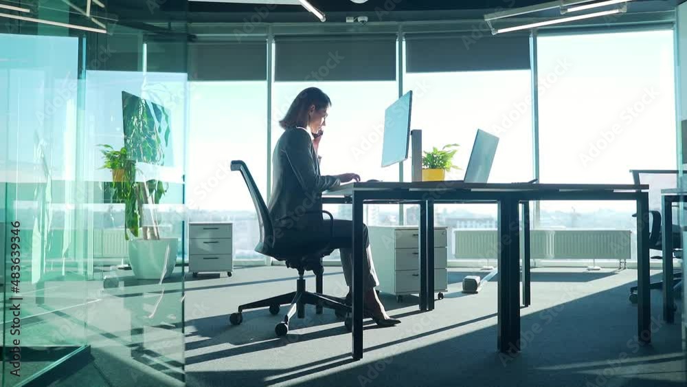silhouette a business woman sitting and working at a computer desk in a modern glass office. Businesswoman, employee, entrepreneur Female boss successful and independent director. background windows