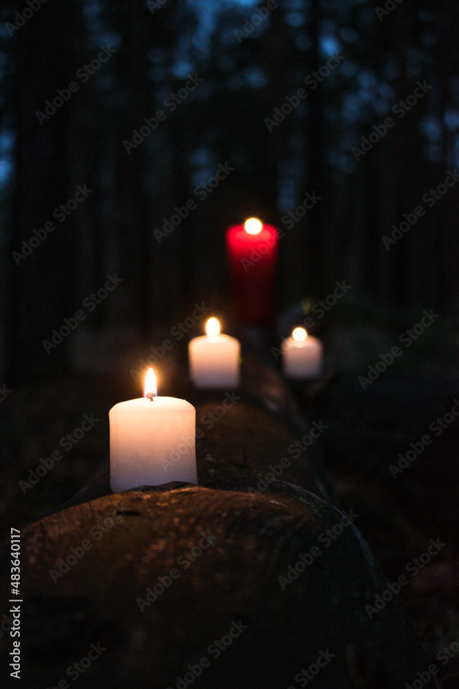 Lit candles in the night forest