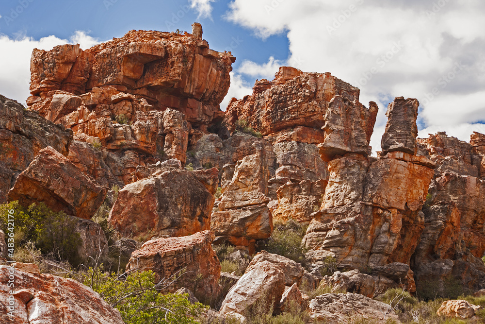 Fototapeta premium Cederberg Mountain Wilderness Area Scene 12796