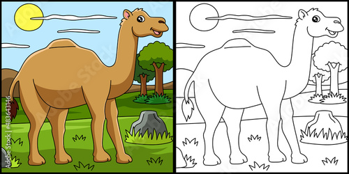 Dromedary Coloring Page Vector Illustration