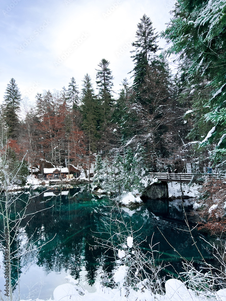 Winter, Roasted Marshmallow, Fire, Switzerland