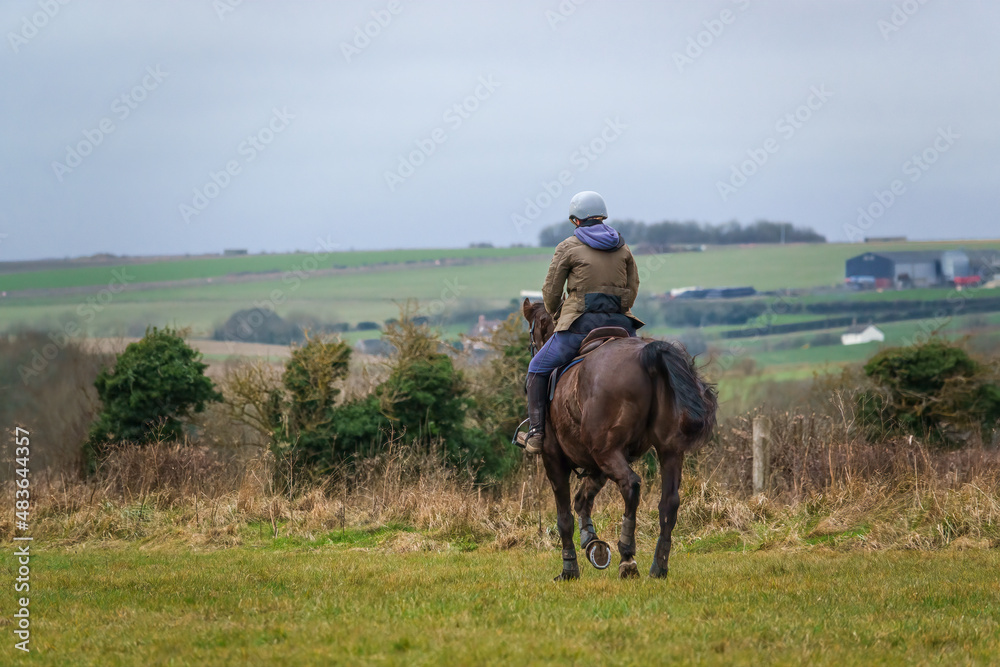 horse riding in open countryside under a blue grey cloud winter sky horse riding in open countryside under a blue grey cloud winter sky