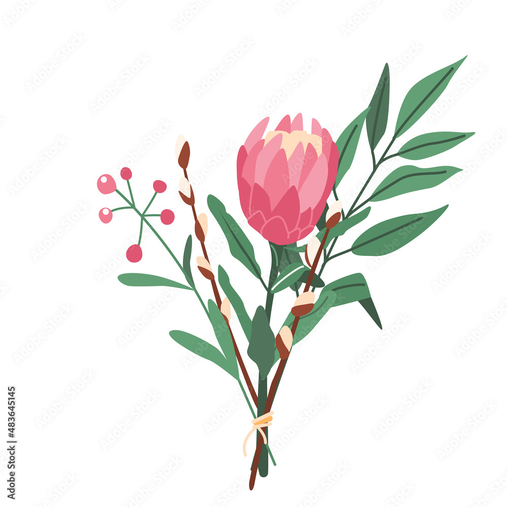 Flower bouquet with protea vector illustration isolated on white