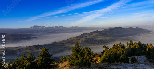 Fototapeta Naklejka Na Ścianę i Meble -  Pieniny, Tatry, Karpaty, Polska, Trzy korony, owce, redyk, 