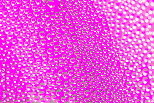 Water droplets on pink background. Water droplets in the middle with selective focus. Droplets out of focus create a bokeh effect.