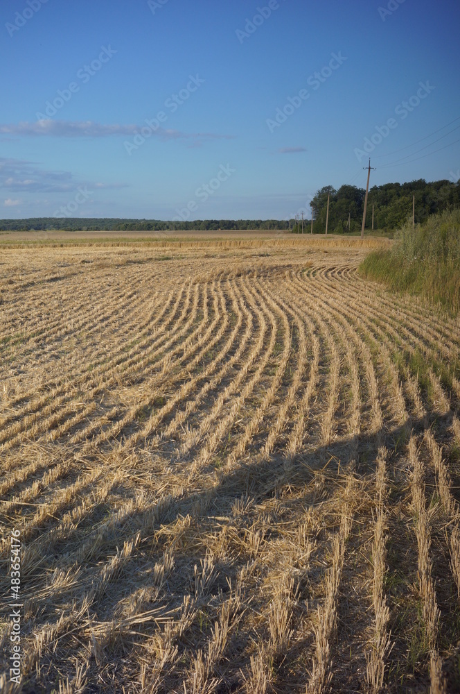 plowed field in the morning plowed field in the morning