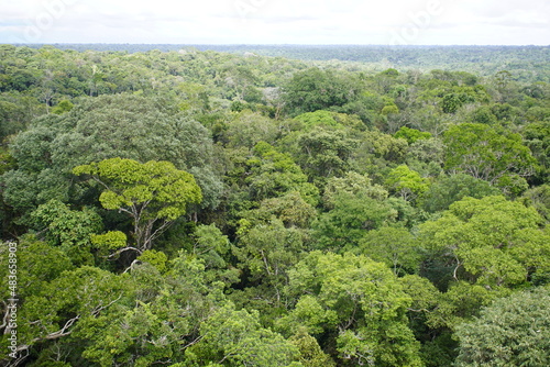 Natural beauty, Floresta Amazonica, which definitely needs to be preserved. View from the tower of the Musa botanical garden. Manaus, Brazil.