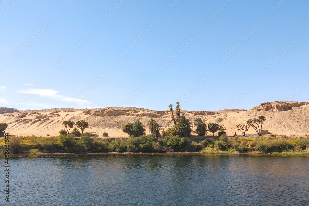 Vegetation am Nil, Ufer, Ägypten