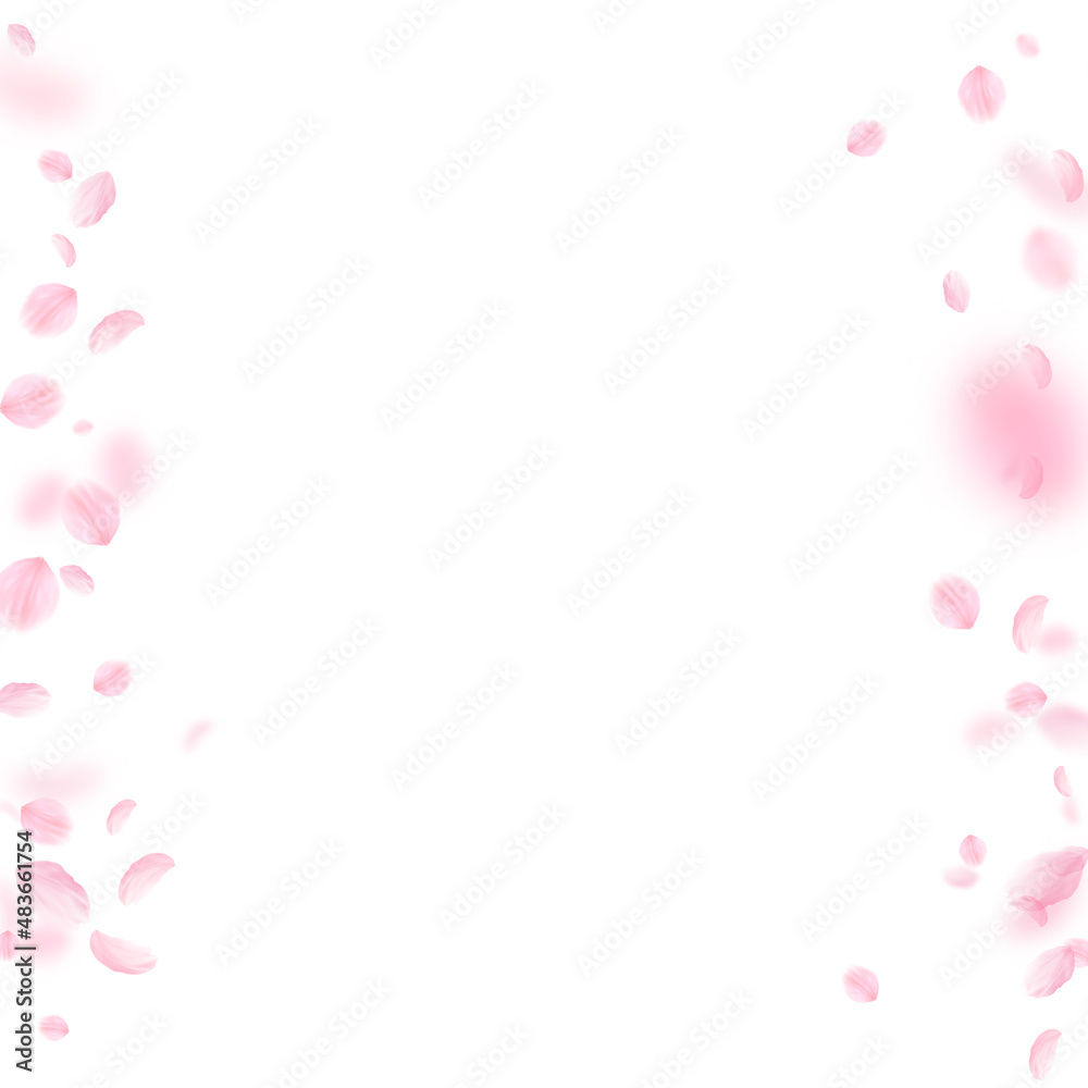 Sakura petals falling down. Romantic pink flowers borders. Flying petals on white square background. Love, romance concept. Pleasant wedding invitation.