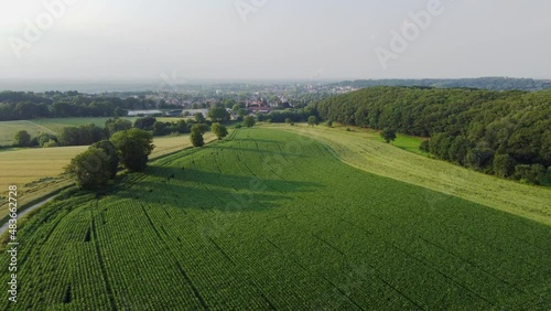 Panoramic aerial dron view of agricultural fields and green meadows. 