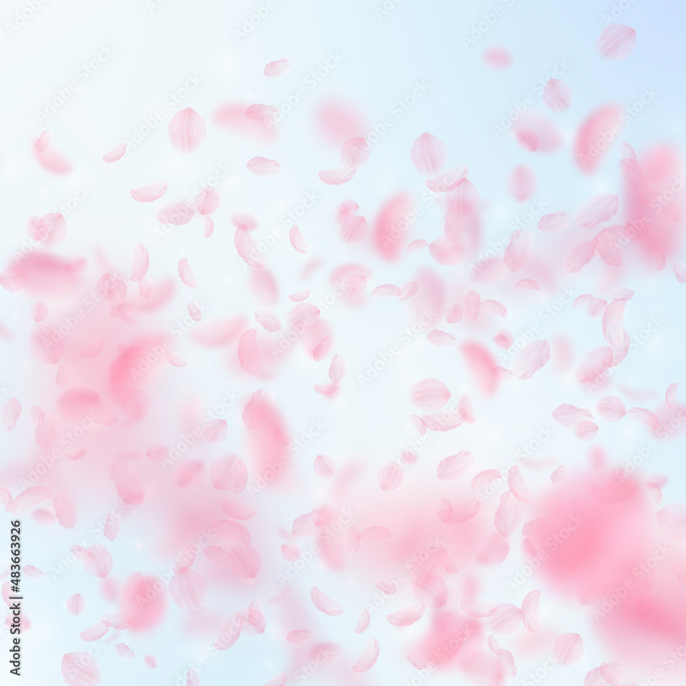 Sakura petals falling down. Romantic pink flowers gradient. Flying petals on blue sky square background. Love, romance concept. Ravishing wedding invitation.