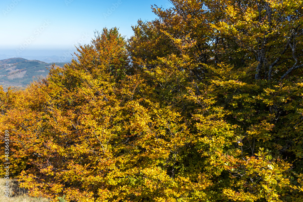 Fototapeta premium Autumn Landscape of Erul mountain near Golemi peak, Bulgaria