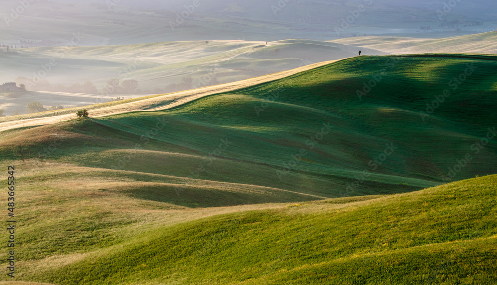 Obraz premium Tuscany spring morning. View of the sunlit hills.
