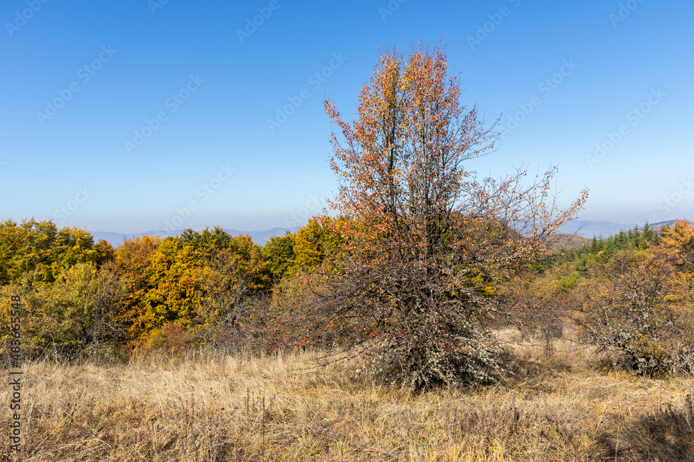 Autumn Landscape of Erul mountain near Golemi peak, Bulgaria Autumn Landscape of Erul mountain near Golemi peak, Bulgaria